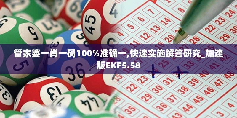 管家婆一肖一碼100%準確一,快速實施解答研究_加速版EKF5.58