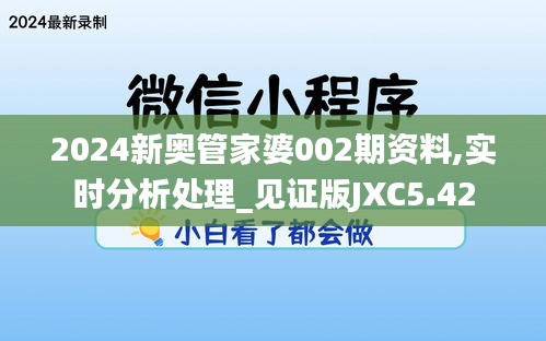 2024新奧管家婆002期資料,實(shí)時分析處理_見證版JXC5.42