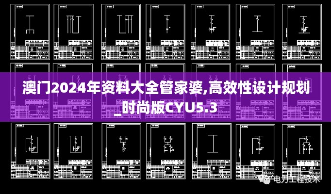澳門2024年資料大全管家婆,高效性設(shè)計規(guī)劃_時尚版CYU5.3