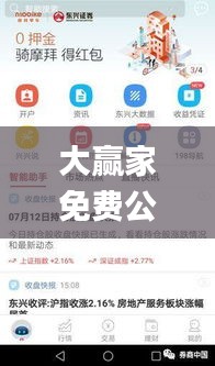 大贏家免費公開資料澳門,目前現象解析描述_界面版DEY5.59