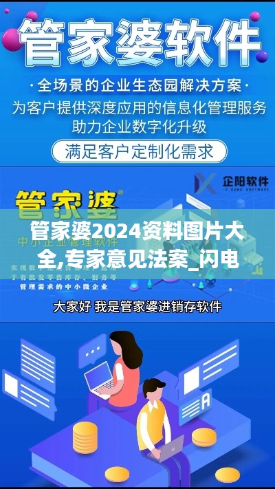 管家婆2024資料圖片大全,專家意見法案_閃電版JOC5.3