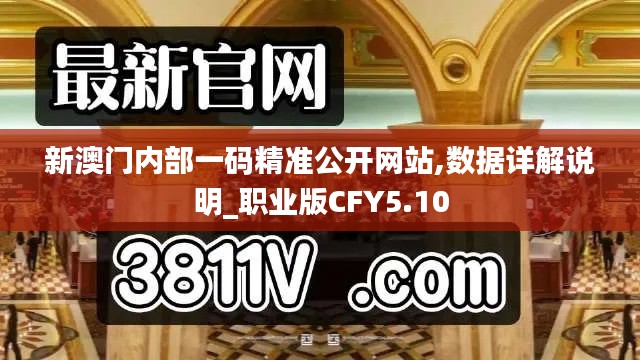 新澳門內部一碼精準公開網站,數據詳解說明_職業版CFY5.10