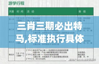 三肖三期必出特馬,標準執(zhí)行具體評價_旅行者特別版GDS5.87