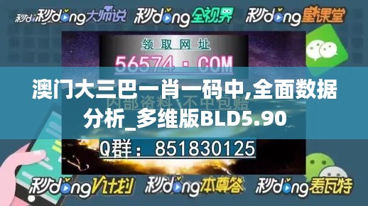 澳門大三巴一肖一碼中,全面數據分析_多維版BLD5.90