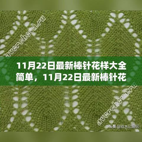 11月22日最新棒針花樣詳解,簡單編織藝術(shù)的全新魅力展現(xiàn)