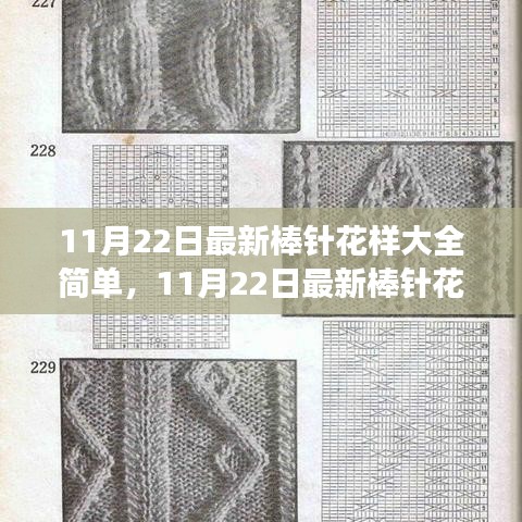 11月22日最新棒針花樣詳解,簡單編織藝術(shù)的全新魅力展現(xiàn)