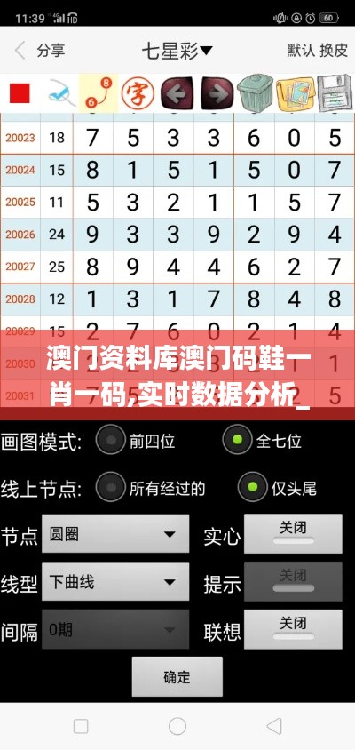 澳門資料庫澳門碼鞋一肖一碼,實時數據分析_測試版RIB5.53