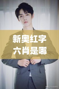 新奧紅字六肖是哪六肖,實地應用實踐解讀_百搭版LSN5.37