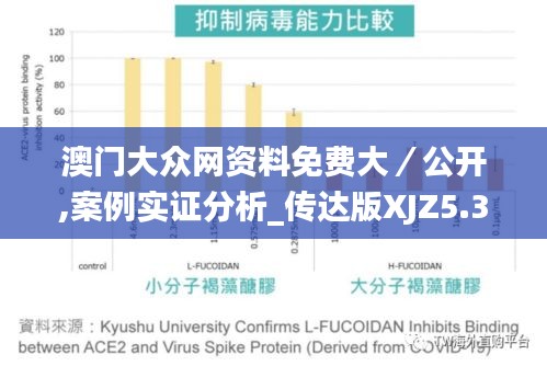 澳門大眾網資料免費大/公開,案例實證分析_傳達版XJZ5.30