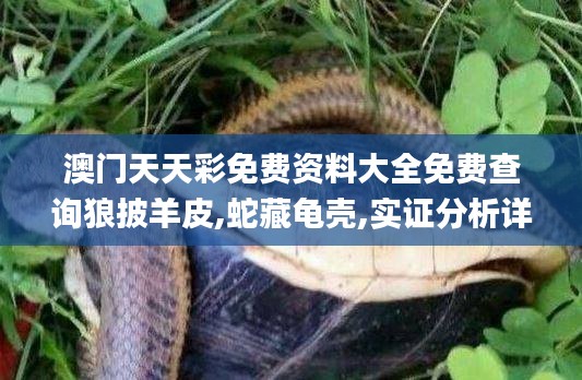 澳門天天彩免費資料大全免費查詢狼披羊皮,蛇藏龜殼,實證分析詳細枕_圖形版ZDK5.98