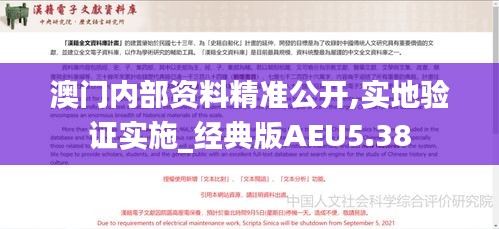 澳門內(nèi)部資料精準(zhǔn)公開,實(shí)地驗(yàn)證實(shí)施_經(jīng)典版AEU5.38