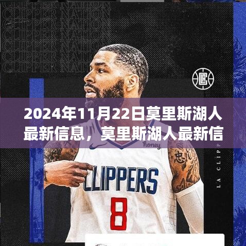 莫里斯湖人最新動態與深度評測,體驗2024年11月22日的獨特魅力
