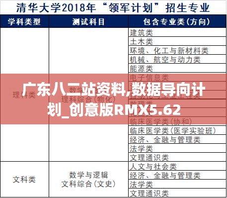 廣東八二站資料,數據導向計劃_創意版RMX5.62