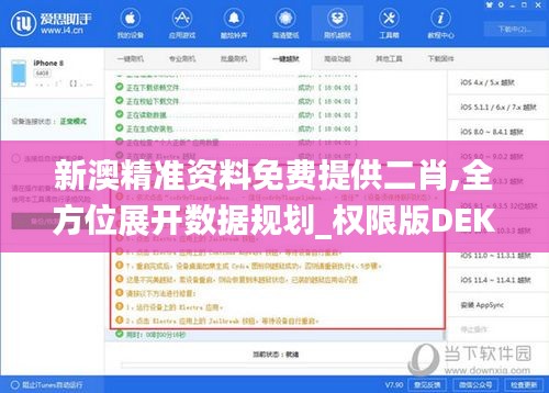 新澳精準資料免費提供二肖,全方位展開數據規劃_權限版DEK5.91