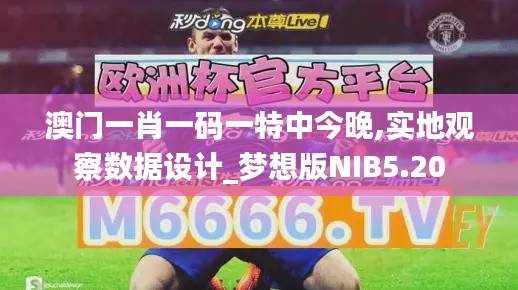 澳門一肖一碼一特中今晚,實(shí)地觀察數(shù)據(jù)設(shè)計(jì)_夢(mèng)想版NIB5.20