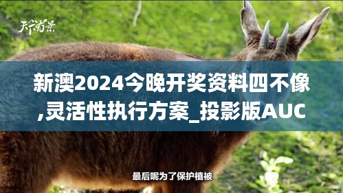 新澳2024今晚開獎資料四不像,靈活性執行方案_投影版AUC5.81