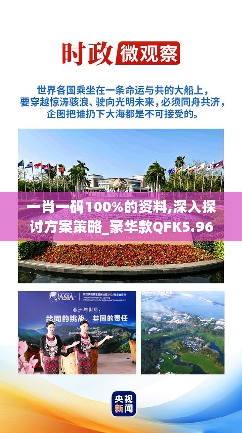 一肖一碼100%的資料,深入探討方案策略_豪華款QFK5.96