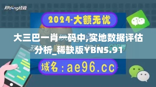 大三巴一肖一碼中,實地數(shù)據(jù)評估分析_稀缺版YBN5.91