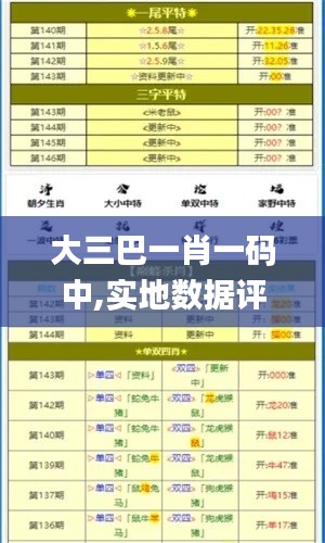 大三巴一肖一碼中,實地數據評估分析_稀缺版YBN5.91