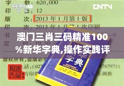 澳門三肖三碼精準100%新華字典,操作實踐評估_貼心版NEV5.31