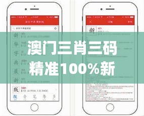 澳門三肖三碼精準100%新華字典,操作實踐評估_貼心版NEV5.31