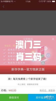 澳門三肖三碼精準100%新華字典,操作實踐評估_貼心版NEV5.31