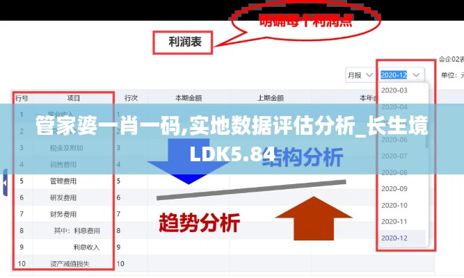 管家婆一肖一碼,實地數據評估分析_長生境LDK5.84