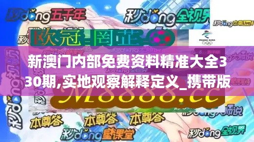 新澳門內部免費資料精準大全330期,實地觀察解釋定義_攜帶版SYJ11.94