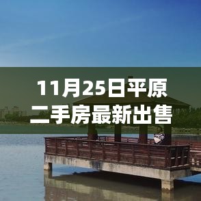 揭秘最新平原二手房市場(chǎng),最新出售信息詳解(11月25日)
