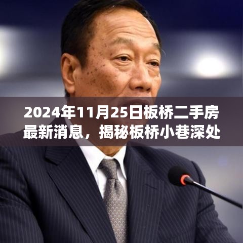 揭秘板橋二手房市場(chǎng),小巷深處的寶藏與最新動(dòng)態(tài)(2024年11月板橋最新消息)