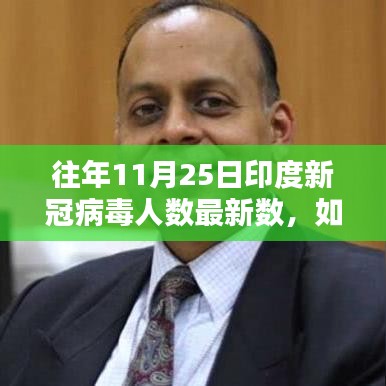 往年11月25日印度新冠病毒人數最新數據,操作指南與獲取方法