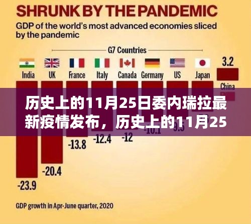 歷史上的11月25日委內瑞拉疫情最新發布,深度評測與介紹