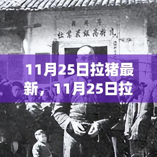 探尋自然美景之旅,11月25日拉豬新篇章,重拾內心的寧靜與平和