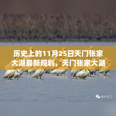 天門張家大湖新規劃啟航,變革的力量與自信的航道探索歷程