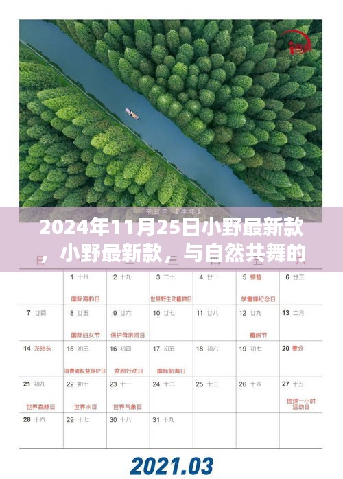 小野最新款，與自然共舞的日子啟程，尋找內心的寧靜與歡笑時光（2024年11月25日）