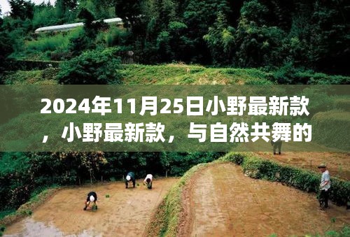 小野最新款,與自然共舞的日子啟程,尋找內心的寧靜與歡笑時光(2024年11月25日)