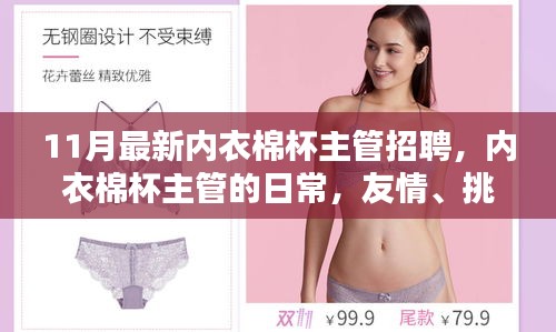 11月內衣棉杯主管招聘,日常、友情、挑戰與家的溫暖