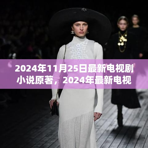 未來熒屏新篇章,2024年最新電視劇小說原著探索
