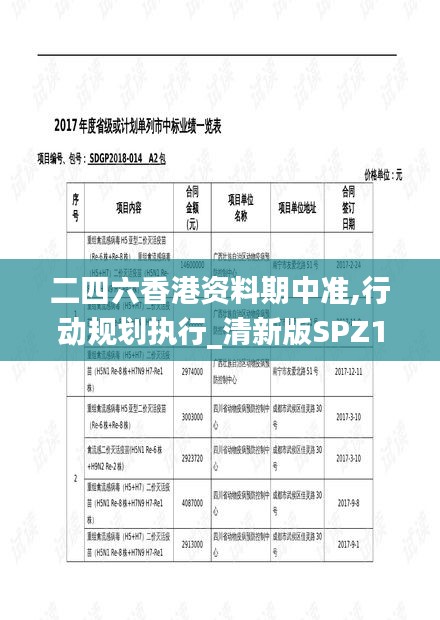 二四六香港資料期中準,行動規劃執行_清新版SPZ13.4