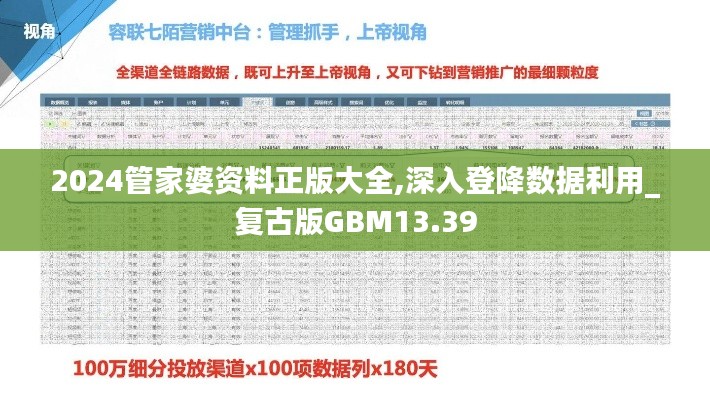 2024管家婆資料正版大全,深入登降數據利用_復古版GBM13.39