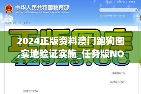 2024正版資料澳門跑狗圖,實地驗證實施_任務版NOM13.44