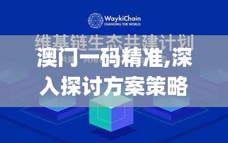澳門一碼精準,深入探討方案策略_精密版CFC13.59