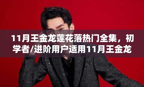 王金龍蓮花落熱門全集學習指南,初學者與進階者的首選