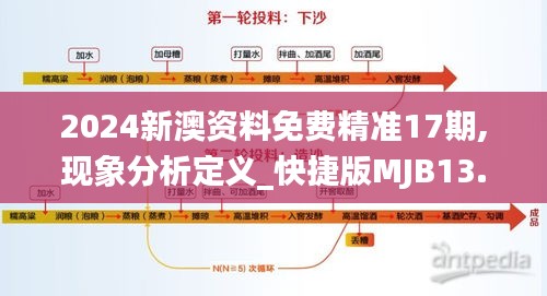 2024新澳資料免費精準17期,現象分析定義_快捷版MJB13.70
