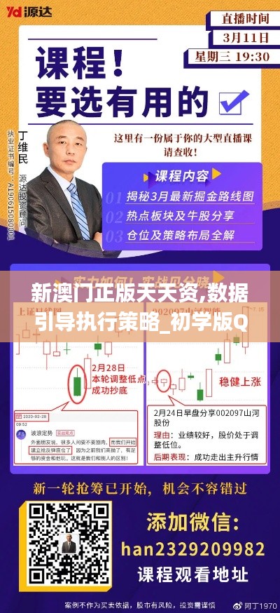 新澳門正版天天資,數據引導執行策略_初學版QVY13.71
