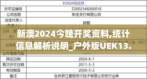 新澳2024今晚開獎資料,統計信息解析說明_戶外版UEK13.24