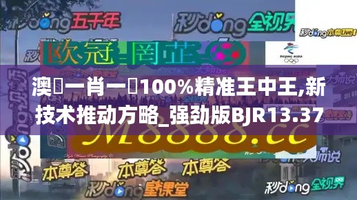 澳門一肖一碼100%精準王中王,新技術推動方略_強勁版BJR13.37
