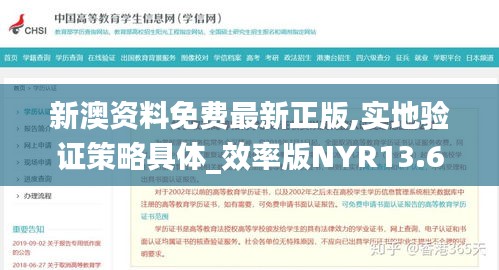 新澳資料免費最新正版,實地驗證策略具體_效率版NYR13.62