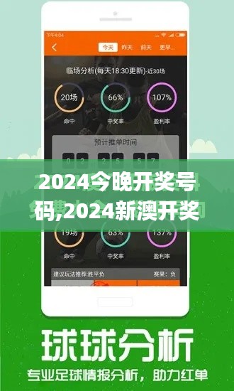 2024今晚開獎號碼,2024新澳開獎結(jié)果,高度協(xié)調(diào)實施_結(jié)合版DBE13.2