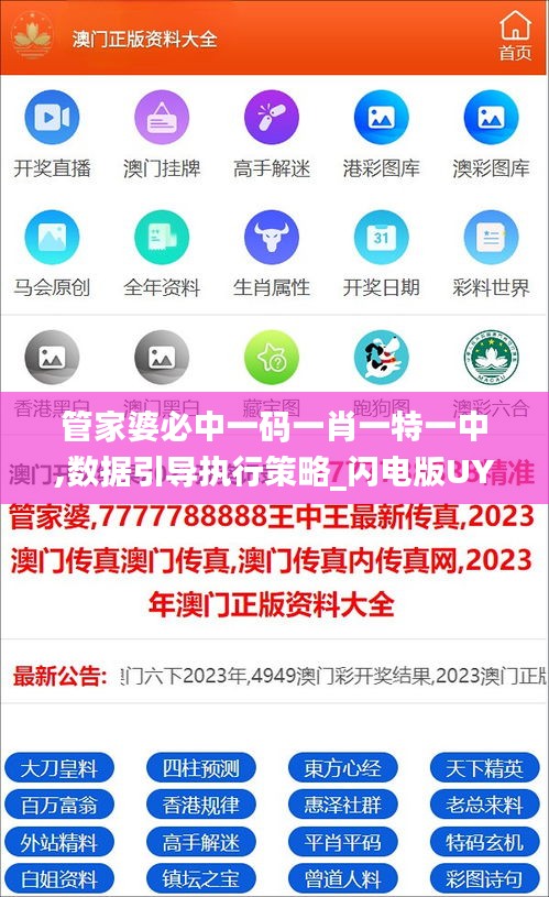 管家婆必中一碼一肖一特一中,數據引導執行策略_閃電版UYS13.65
